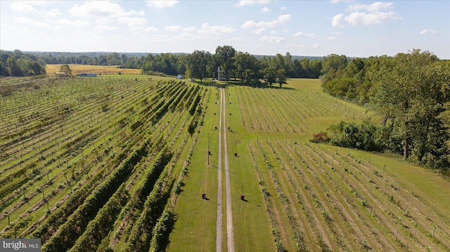 birds eye view of property with a rural view