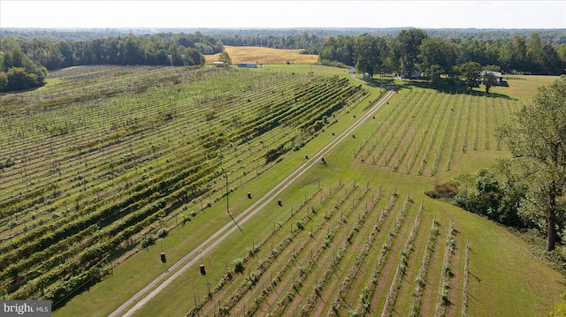 aerial view with a rural view