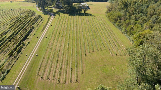 drone / aerial view with a rural view