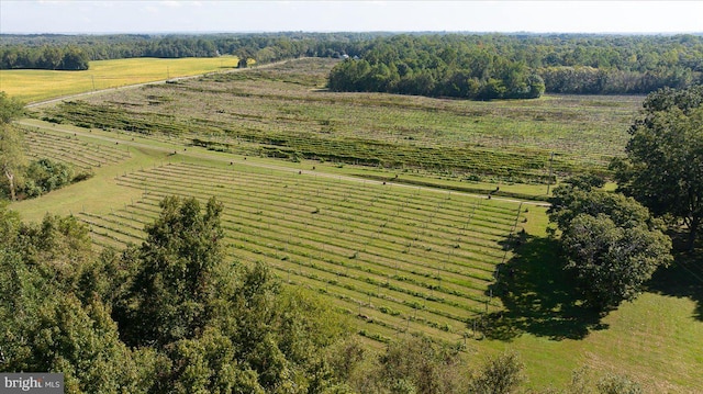 bird's eye view with a rural view