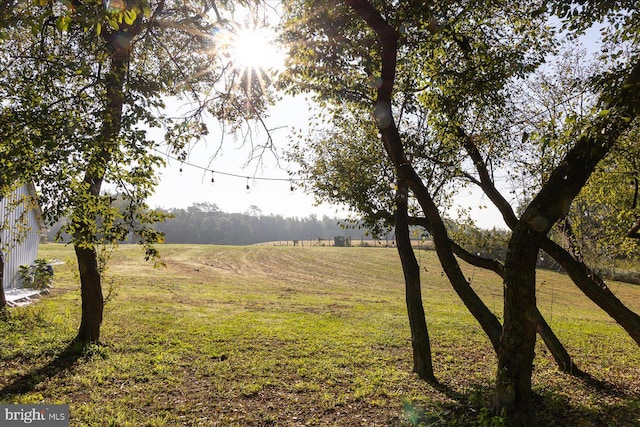 view of yard with a rural view