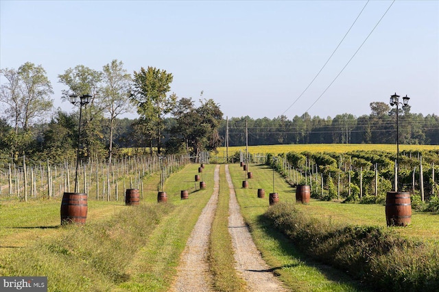 view of yard featuring a rural view