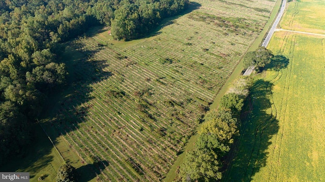 bird's eye view featuring a rural view