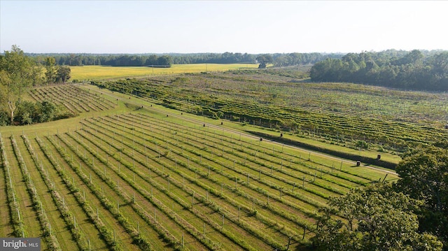 exterior space featuring a rural view