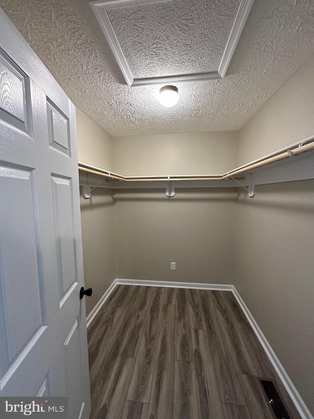 walk in closet with dark wood-type flooring and a raised ceiling