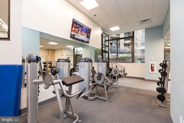 exercise room featuring carpet flooring and a drop ceiling