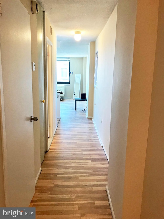 hall with light wood-type flooring