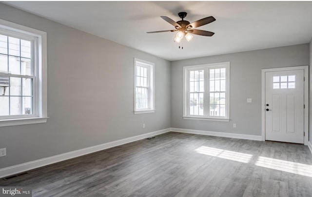 foyer featuring ceiling fan, a healthy amount of sunlight, and hardwood / wood-style flooring