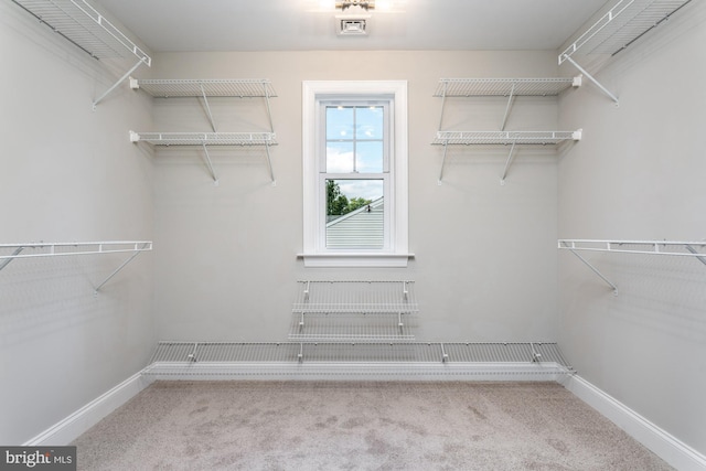 walk in closet with light carpet