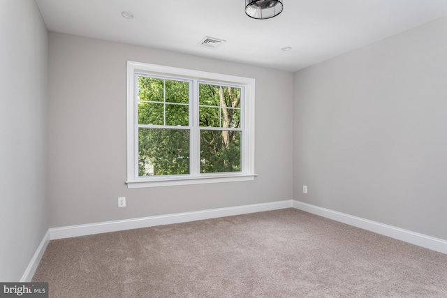 unfurnished room with carpet flooring