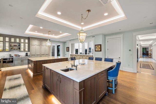 kitchen with sink, a raised ceiling, dark hardwood / wood-style floors, a large island with sink, and decorative light fixtures