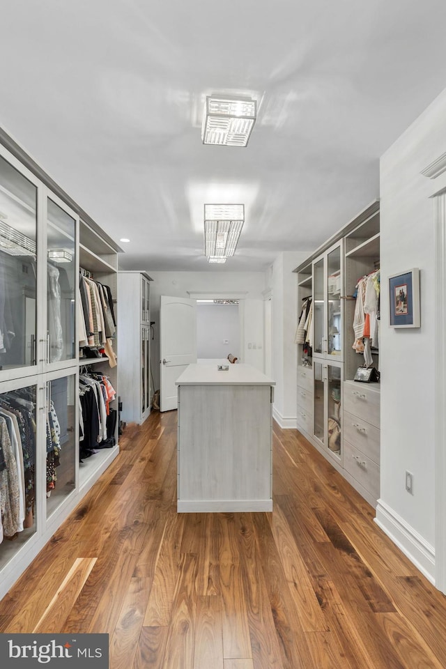 walk in closet featuring hardwood / wood-style floors