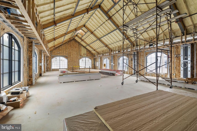 miscellaneous room featuring high vaulted ceiling