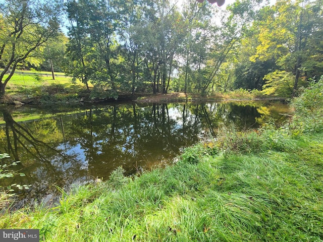 view of water feature