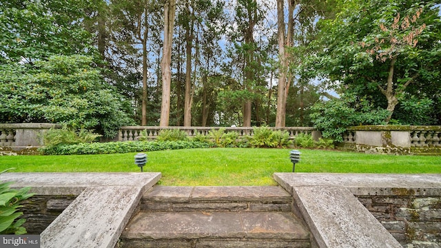 1717 Woodland Rd, Abington, PA 19001 - view of yard