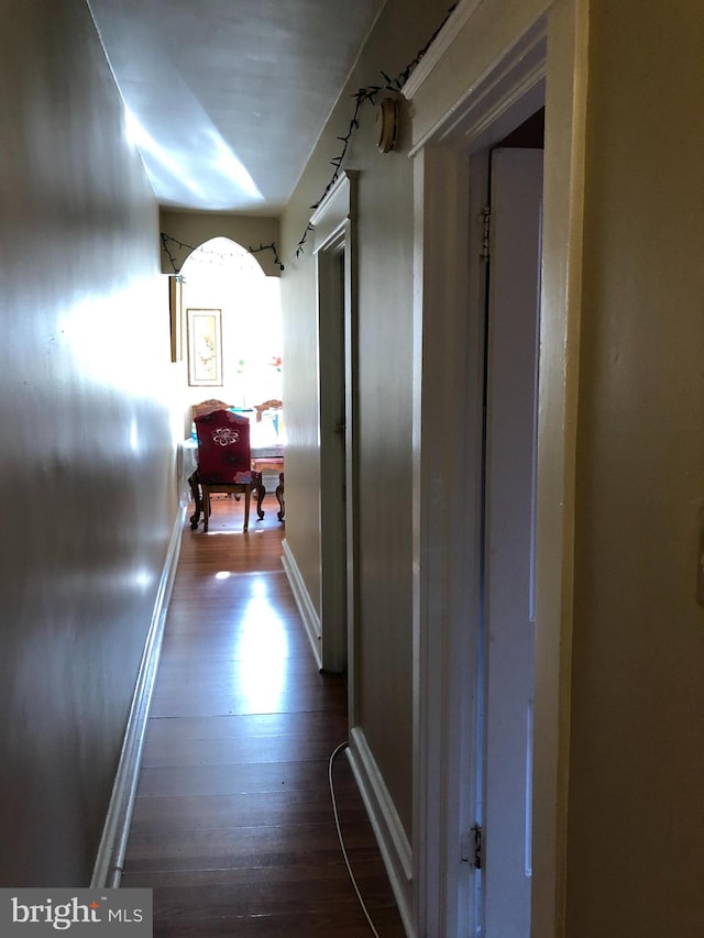 hall featuring dark wood-type flooring