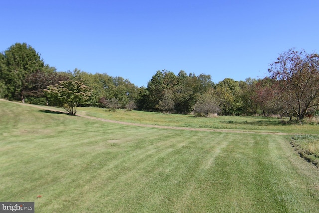 view of yard with a rural view