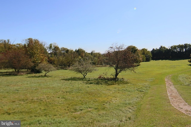 view of mother earth's splendor featuring a rural view