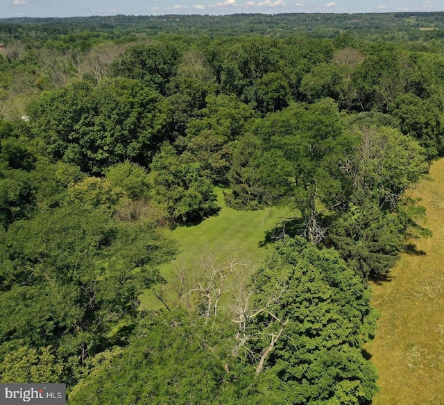 view of bird's eye view