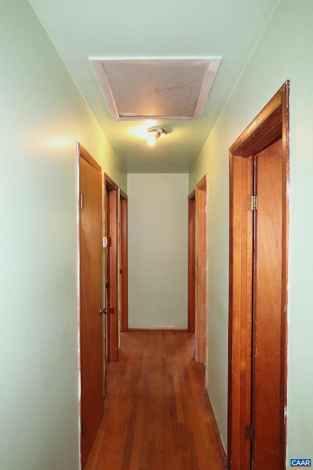 hallway featuring dark wood-type flooring