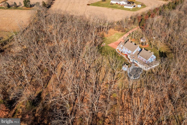 view of bird's eye view