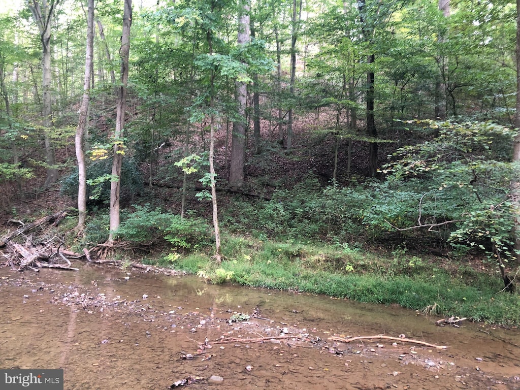 view of nature featuring a water view