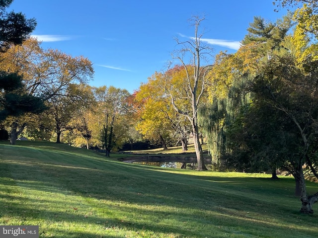 surrounding community featuring a yard