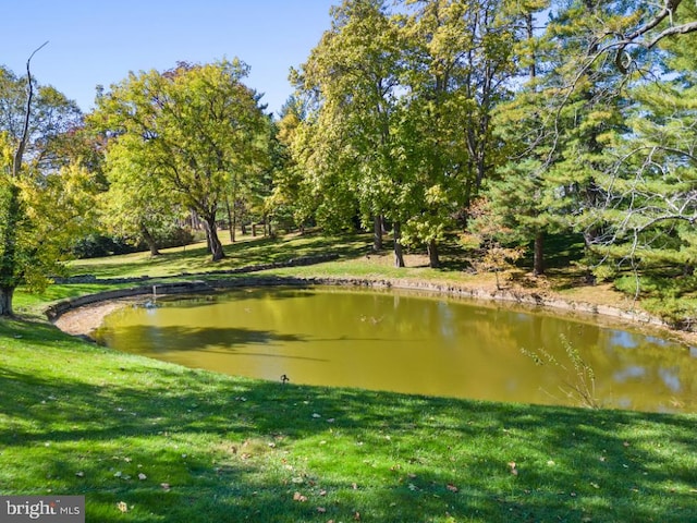 view of property's community featuring a water view and a yard