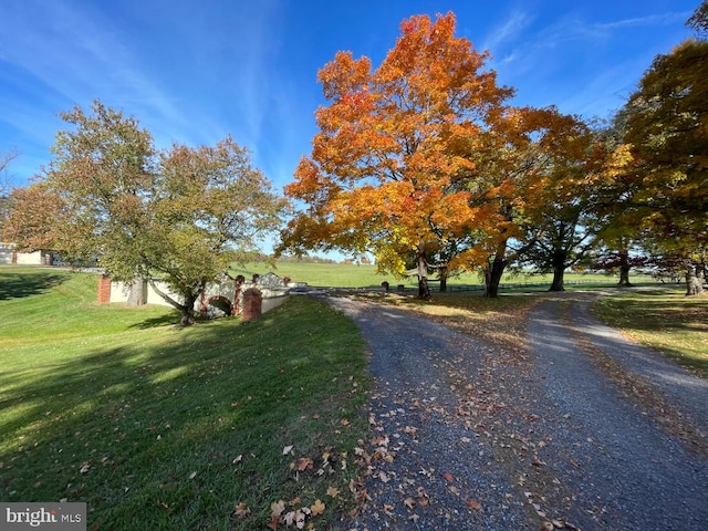 view of street