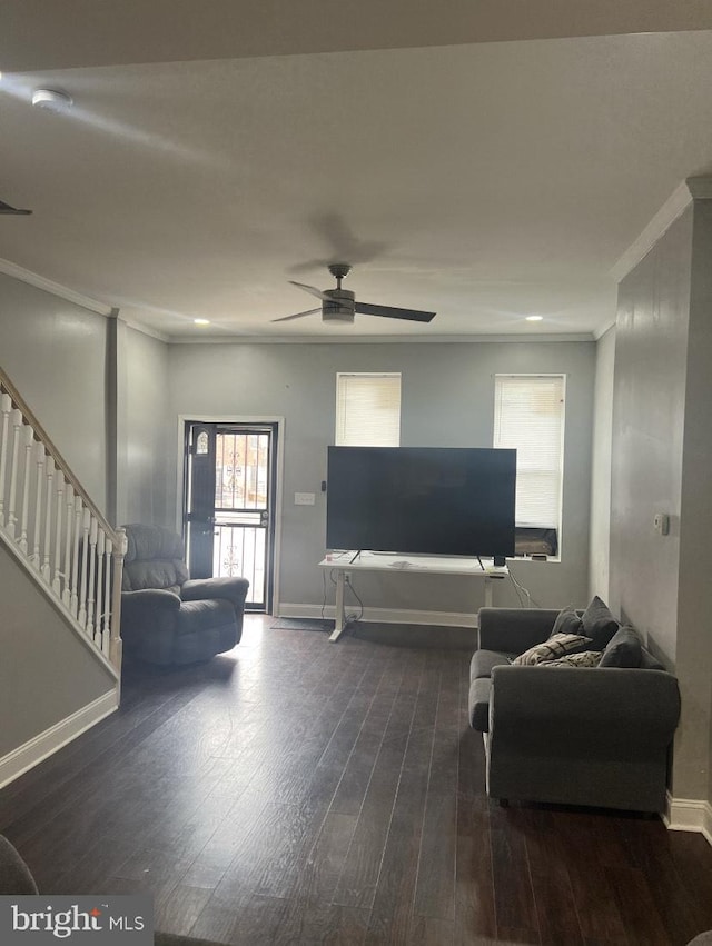 living room featuring dark hardwood / wood-style floors, ceiling fan, and ornamental molding