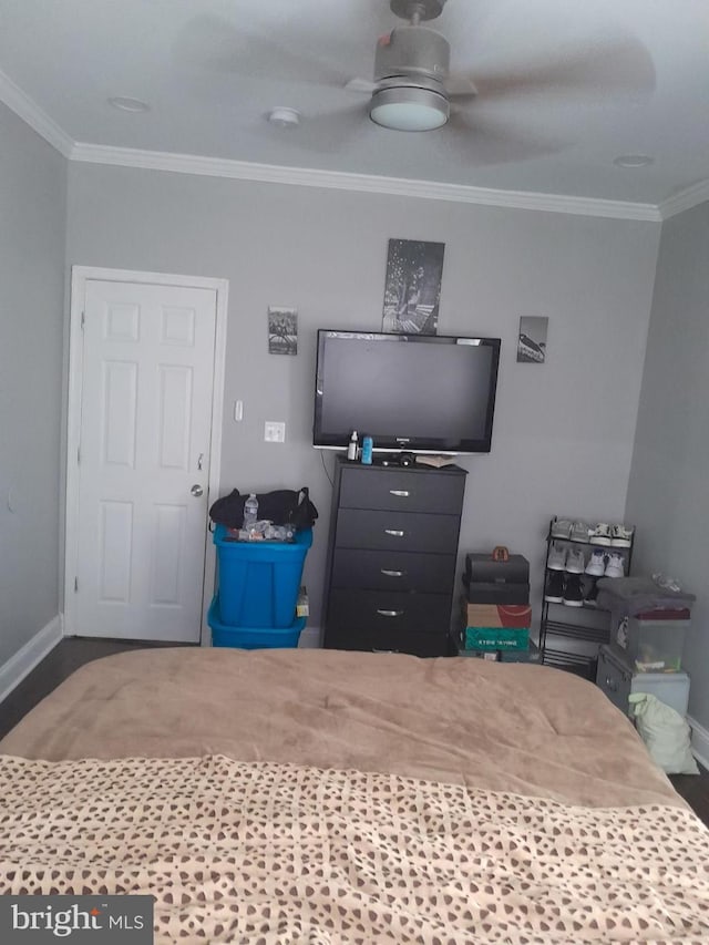 office featuring crown molding and ceiling fan