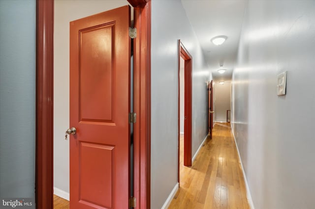 corridor with light wood-type flooring