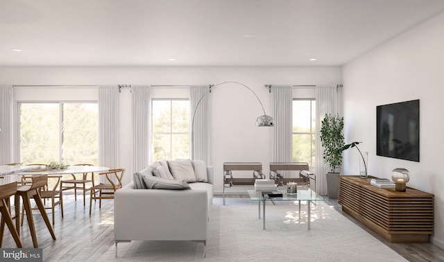 living room with light wood-type flooring and a wealth of natural light