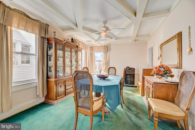 carpeted dining room with coffered ceiling, ceiling fan, and beamed ceiling