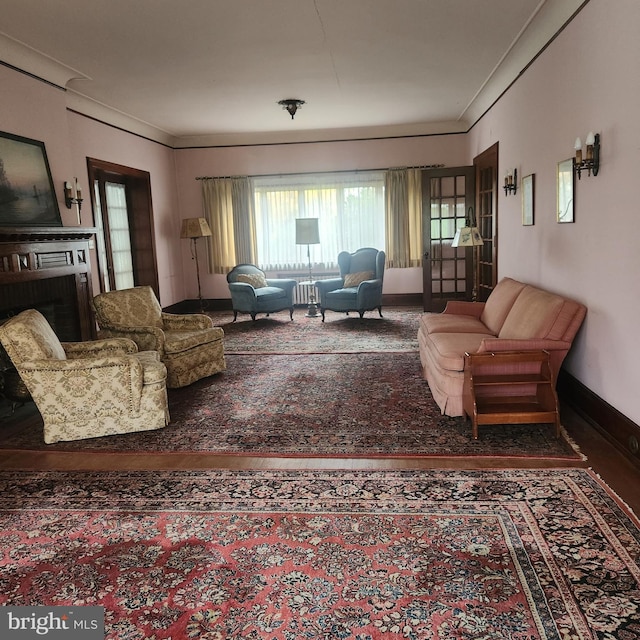 living room with a fireplace and wood-type flooring