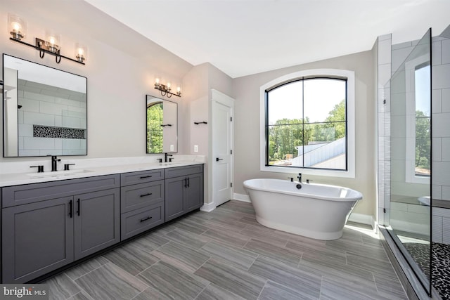 bathroom with vanity and separate shower and tub