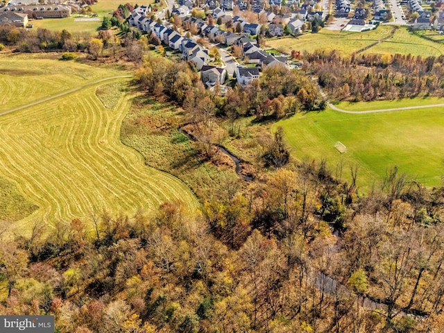 bird's eye view