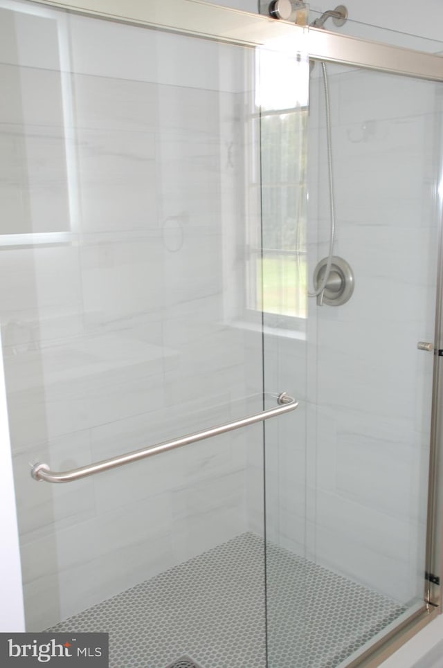 bathroom with a shower with shower door