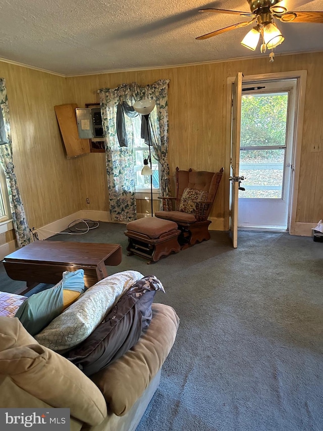 living room featuring carpet, ceiling fan, and a textured ceiling