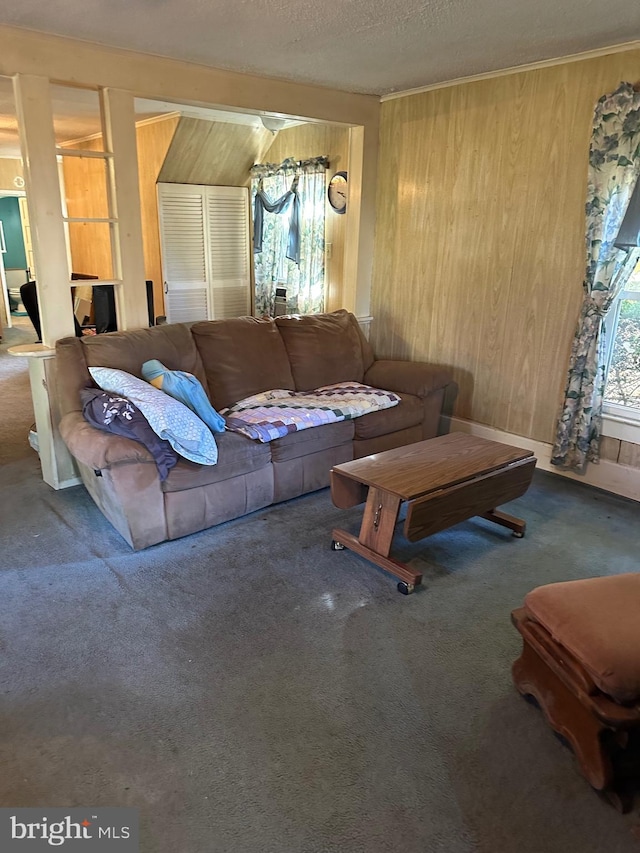 living room with wooden walls, a textured ceiling, and carpet