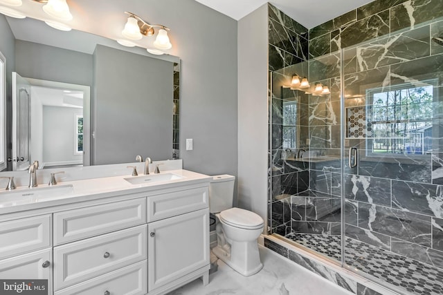 bathroom featuring vanity, an enclosed shower, and toilet