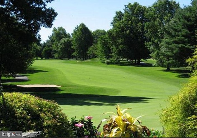 view of property's community featuring a lawn