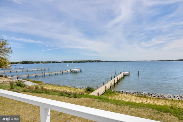 dock area with a water view