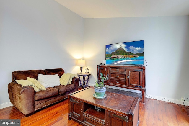 living room with wood-type flooring