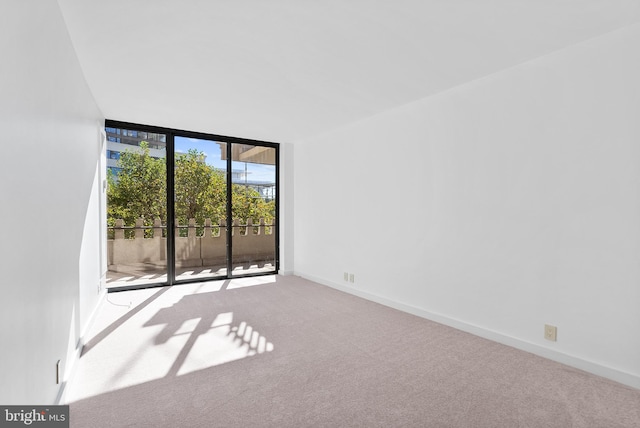 carpeted empty room featuring a wall of windows