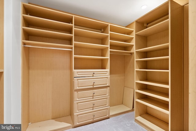 spacious closet featuring light carpet