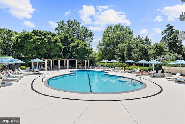 view of swimming pool with a patio