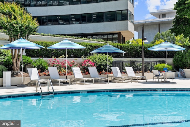 view of swimming pool with a patio