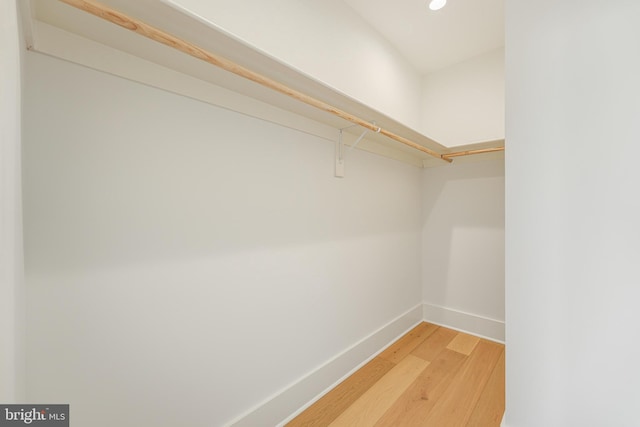 spacious closet featuring wood finished floors