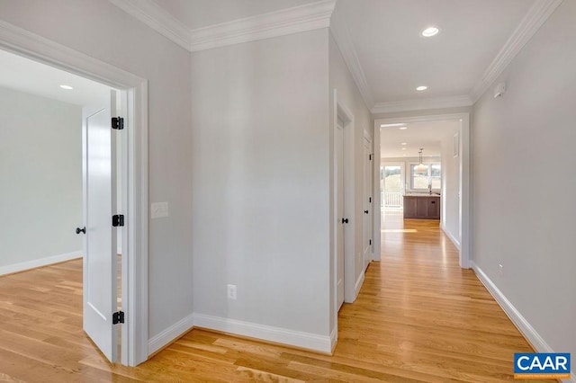 hall featuring crown molding and light hardwood / wood-style flooring